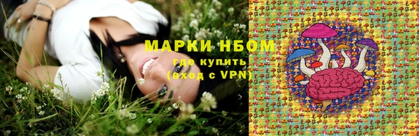 гашик Бронницы