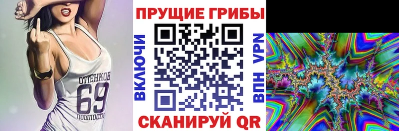 купить   Верхотурье  Псилоцибиновые грибы Cubensis 
